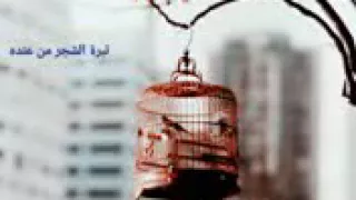 حاتم العراقي مثل طير بقفص وحده 