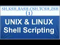 BASH Shell Scripting With Command Line Arguments Three Hours