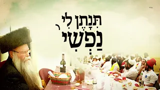 אם מצאתי חן נפשי בשאלתי ועמי בבקשתי ניגון לפורים ישיבת רועה ישראל 
