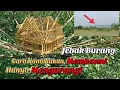 Download Lagu NAPAK TILAS || Jebak Burung Spot Samping Kereta Cepat Bandung Jakarta