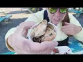 Is South Beach Fish Market REALLY the Best Seafood in Newport Oregon Food Review