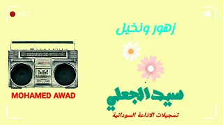 فنان بربر سيد الجعلي زهور ونخيل 