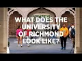 What is the University of Richmond like
