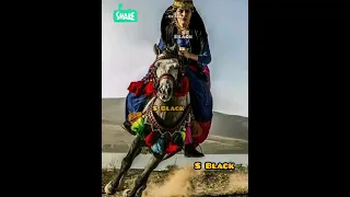 خان شوقی شایسته 3 