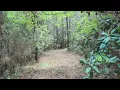 12 79 Acres for Sale Butler County Alabama