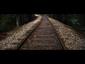 Black Magic Pocket Cinema Camera 6k Camera Test