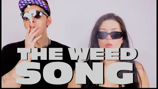 THE WEED SONG - Petey Plastic FT Kaceytron and Insect Alien