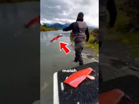 Kenapa Nelayan Malah Membuang Ikan Tangkapannya?