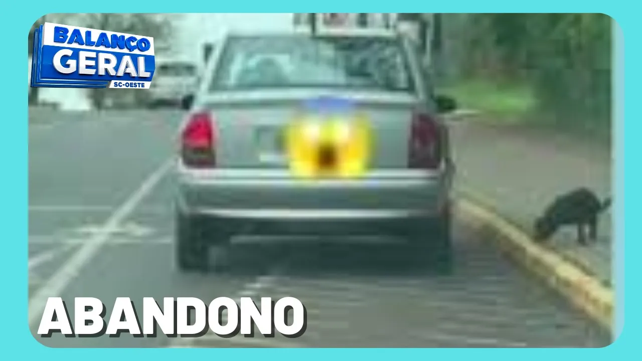 Vídeo mostra cadela sendo abandonada em Chapecó