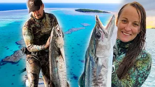 Life at the Reef: Mackerel & Mantas  (Sailing Popao) S2 Ep.11