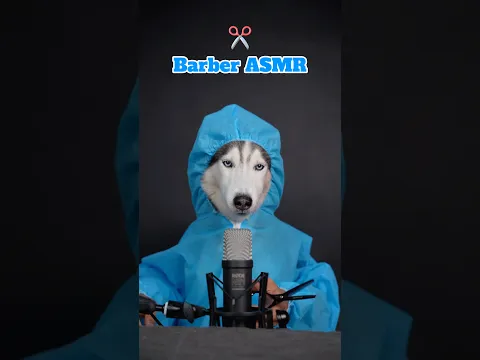 10s Barber Asmr #asmr #dogasmr #shorts #shortvideo