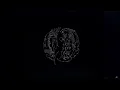 Ill Considered - Dervish [Visualiser]