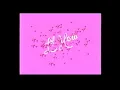 lil hero - gun show visualizer