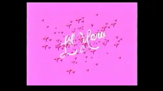 lil hero - gun show visualizer