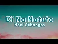 Noel Cabangon- DI NA NATUTO (Lyrics Video)
