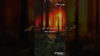 لا تعتمد على أحد ادا ظفر النتيفات كلمات ماجد الشيبة 