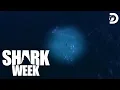 Teen Girls Land In SHARKY WATERS Caught Sharks Strike Back Shark Week