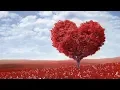 Download Lagu Peaceful music, Relaxing music, Instrumental Musc \
