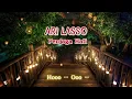 Download Lagu ARI LASSO - Penjaga Hati Lirik Lyric