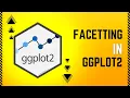How to Facet a Data Visualization in ggplot2 with R Programming