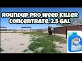 Roundup Pro Weed Killer Concentrate 2 5 Gal review Weed killing and cutting my tree
