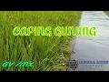 Download Lagu CAPING GUNUNG slow bass [GV rmx] by JAWARA AUDIO