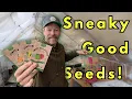 Lagu Is this the BEST vegetable seed pack on Amazon?