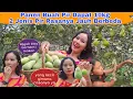 Download Lagu Puas Banget, Panen Pir Di Kebun Sendiri Dapat Banyak