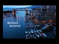 江美琪-親愛的你怎麼不在身邊