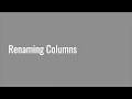 4 7 Renaming Dataframe Columns