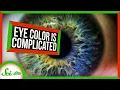 We Found a Bunch of New Eye Color Genes SciShow News
