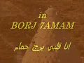 محمد منير انا قلبي برج حمام