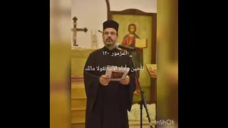 رفعت عيني 