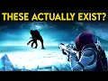 Download Lagu Destiny's HORRIFYING Cryptids! They’re Hunting Your Guardian