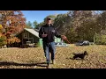 Jim Hodges Dog Training Puppy Dos and Donts Teaching Come On Leash and Off Leash