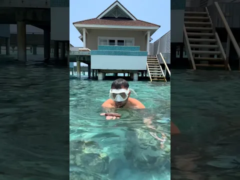 Maldives vibes 😅