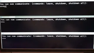 Distributed Chat System - Ring Topology