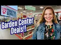Tractor Supply Garden Deals Huge Selection of Seeds Bare Root Shrubs Bulbs And Fruit Trees