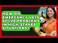 How Do Emergency Vets Solve Problems In High-stakes Situations - Animal Care Jobs
