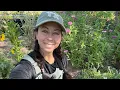 6 Texas Summer Proof Plants from 2026