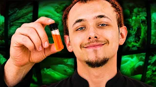 This Pedo Chef Poisoned His Entire Restaurant