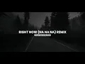 Download Lagu Right Now (Na Na Na) Remix version - Bootleg Febry Remix || Sound Tik tok Terbaru 2025