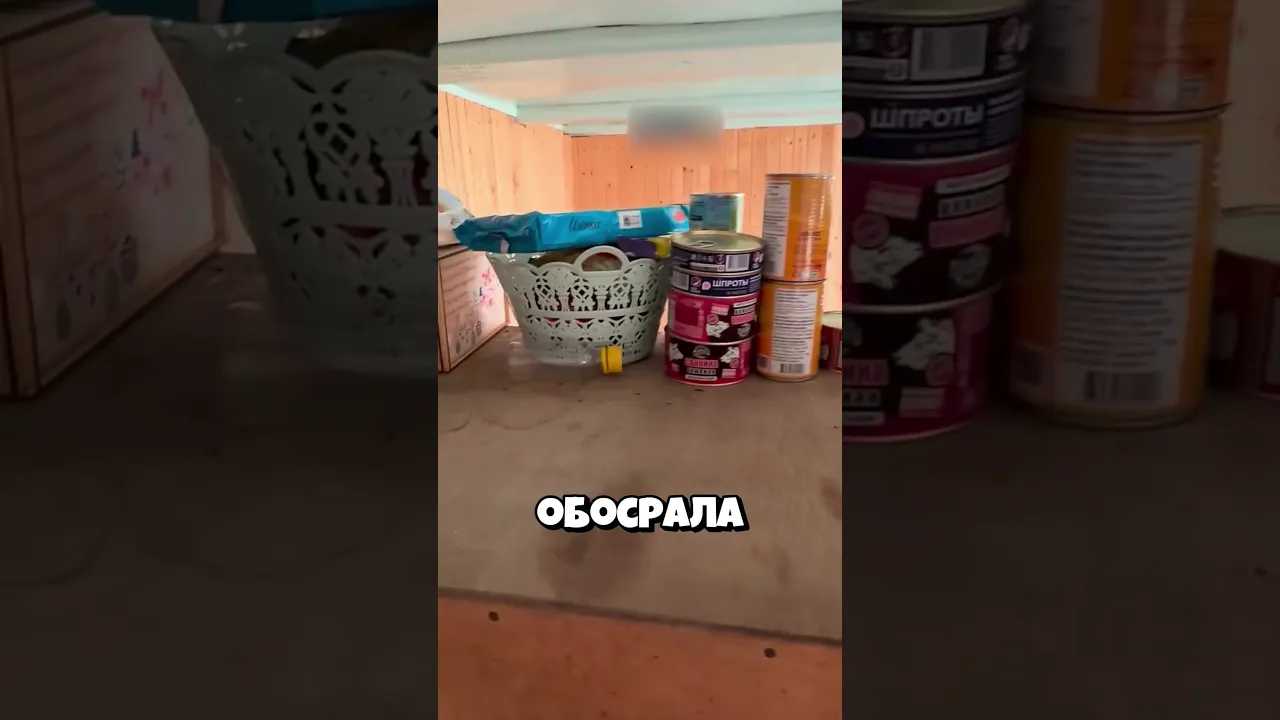 Нашла виновника!