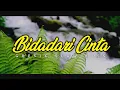 Download Lagu Dj Bidadari Cinta - Gresik Slow Bass | Fajar Saputra√