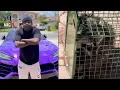 Thug Holiday Trick Daddy Wins Beef Against Raccoon Hiding Under His Lamborghini Urus