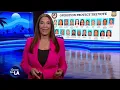 Man arrested in California voter fraud bust speaks out