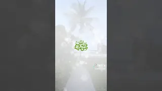 قمر اطل على البرية من حراء 