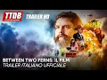 Video di Between Two Ferns: Il film | Trailer Italiano Ufficiale