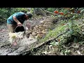 Download Lagu Sungai Kering Di Tengah Hutan, Sedikit Di Kuras Auto Panen Ikan Banyak.