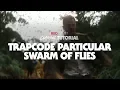 Classic Tutorial Trapcode Particular Swarm of Flies